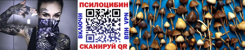 Галлюциногенные грибы ЛСД  где найти наркотики  гидра ссылка  Неман 